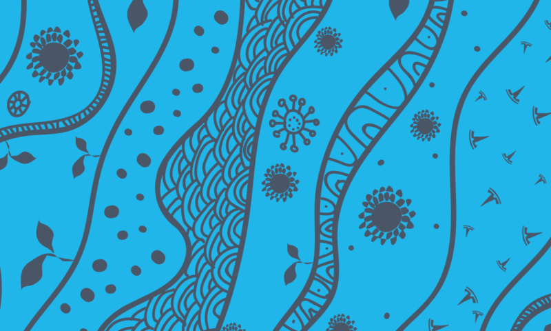 Evolve or die: How technology is transforming SA’s accountancy sector