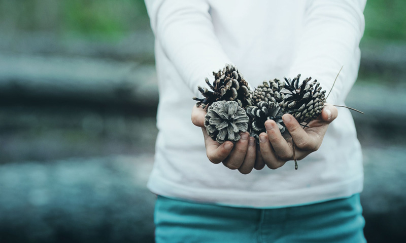 Command the prices you deserve | Advisors