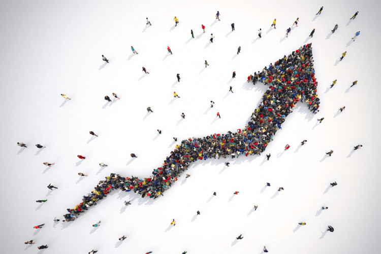 What are dividends and why are they important?